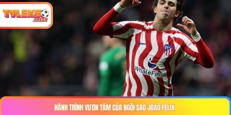 Joao Felix trong hành trình phát triển sự nghiệp
