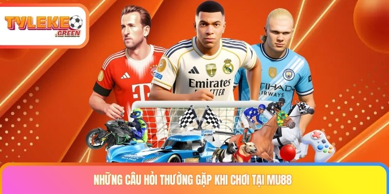 Các tiêu chí cần kiểm tra khi đánh giá MU88