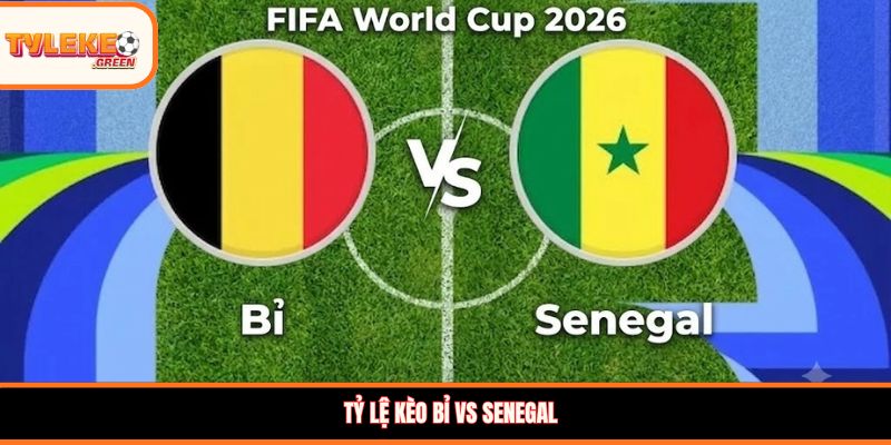 Nhận định kèo Bỉ vs Senegal