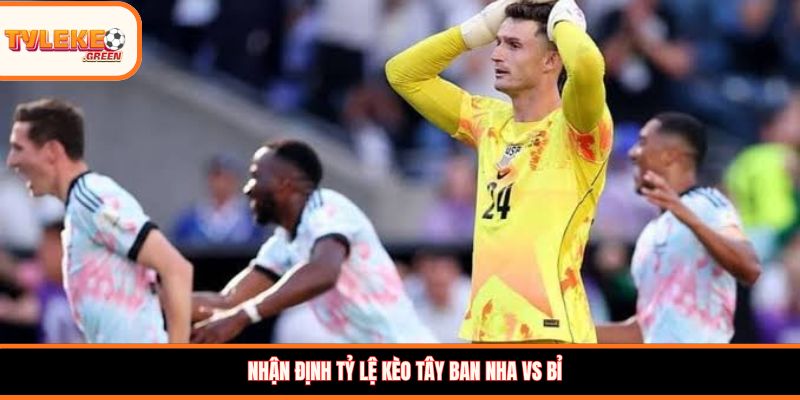 Tây Ban Nha vs Bỉ - Soi Kèo Ngày 11/07 Nhận Định Tứ Kết Nhận định kèo Tây Ban Nha vs Bỉ